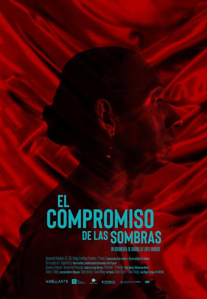 EL COMPROMISO DE LAS SOMBRAS